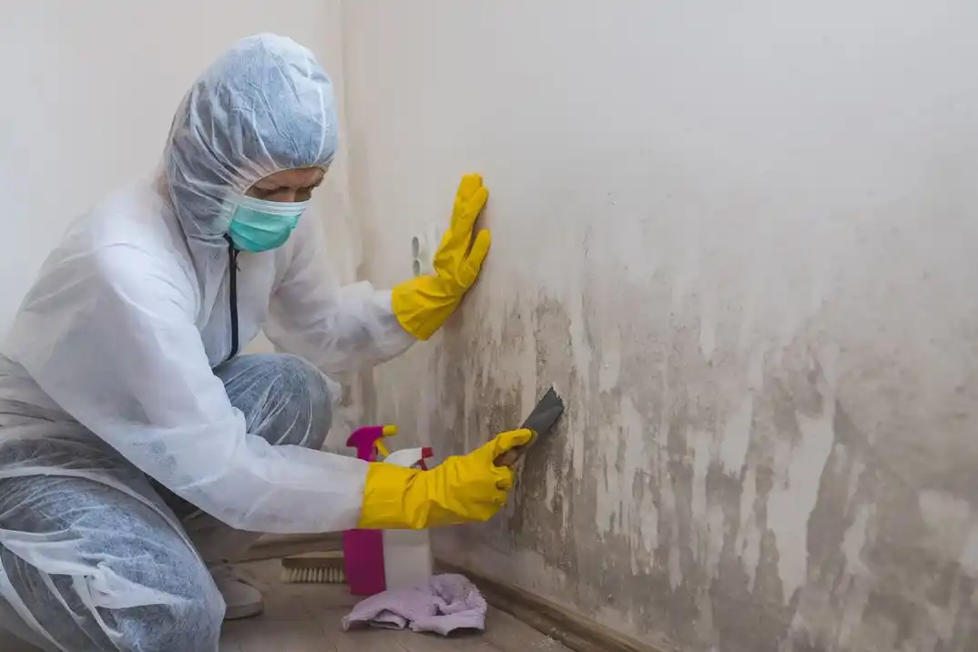 water damage restoration service Mayfield Ranch Enclave